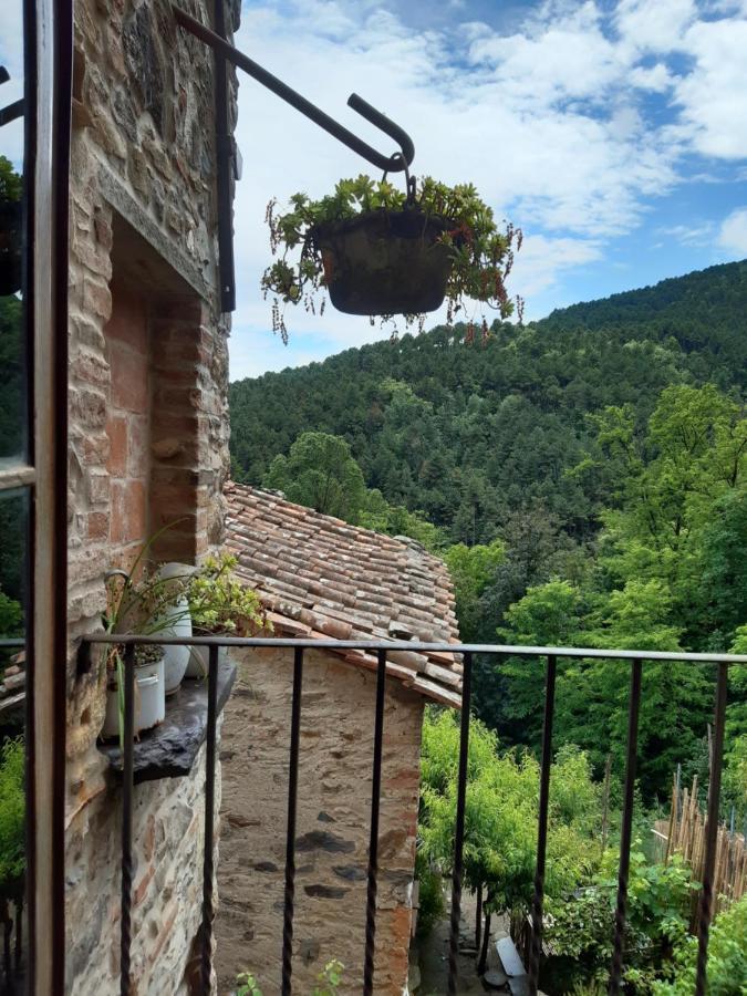 Locanda Del Capo Capannori Buitenkant foto